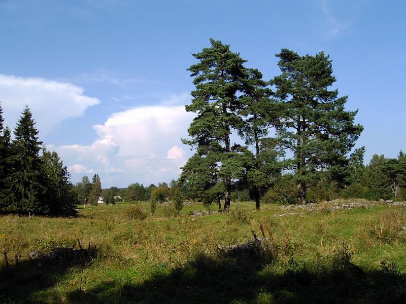 Bild 039